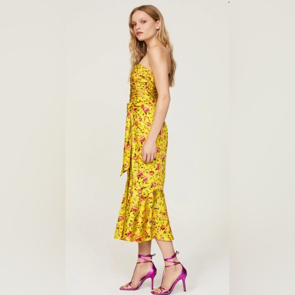 NWT Cinq a Sept Provence Katz Dress - Picture 3 of 9